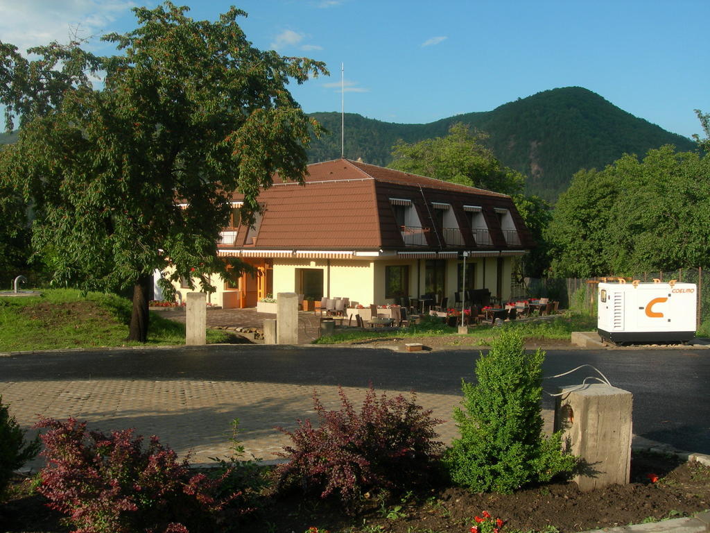 Pensiunea Valea Lupului Valea Lupului  Zewnętrze zdjęcie
